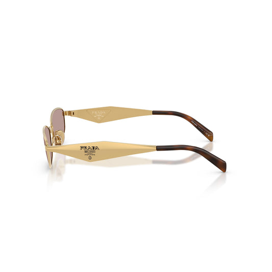 Gafas de sol de metal ovaladas de lujo